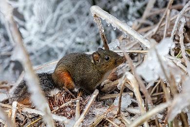 奇幻动作角色扮演游戏《Estencel》1月20日上线 支持简中